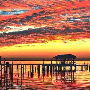 Meet your Posher, Margie